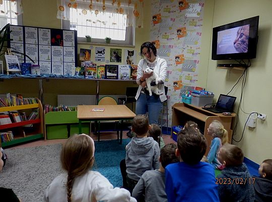 Światowy Dzień Kota