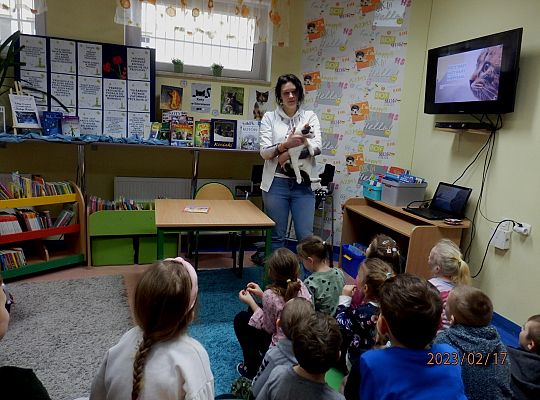 Światowy Dzień Kota