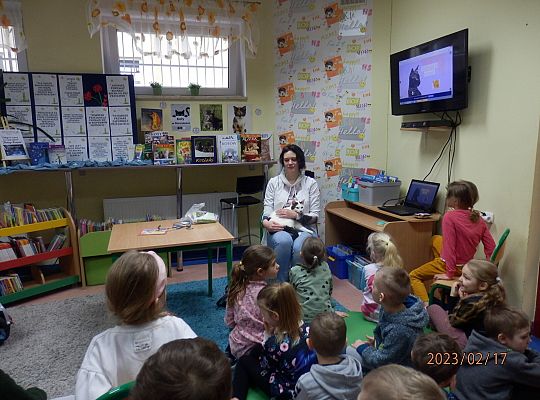 Światowy Dzień Kota