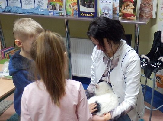 Światowy Dzień Kota