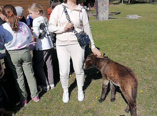 Klasa IIb i IIIb na wycieczce w Kniewie