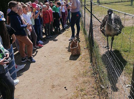 Klasa IIb i IIIb na wycieczce w Kniewie