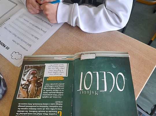 Nela. Mała Reporterka