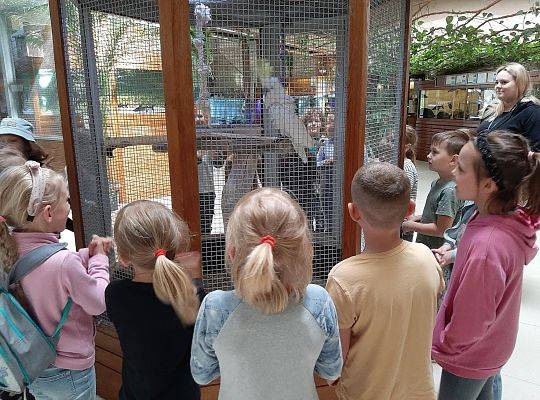 Wycieczka klas pierwszych - Egzotyczne Zoo