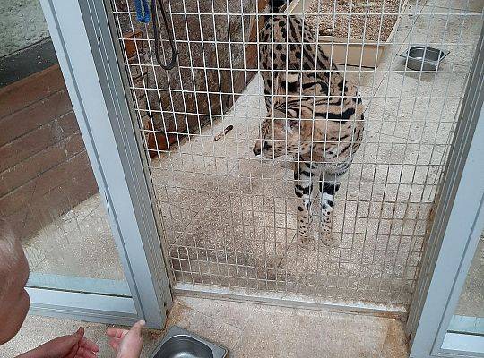 Wycieczka klas pierwszych - Egzotyczne Zoo