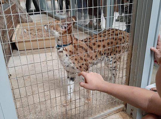 Wycieczka klas pierwszych - Egzotyczne Zoo