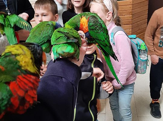 Wycieczka klas pierwszych - Egzotyczne Zoo