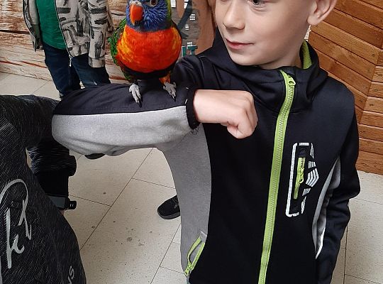 Wycieczka klas pierwszych - Egzotyczne Zoo