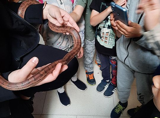 Wycieczka klas pierwszych - Egzotyczne Zoo