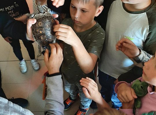 Wycieczka klas pierwszych - Egzotyczne Zoo