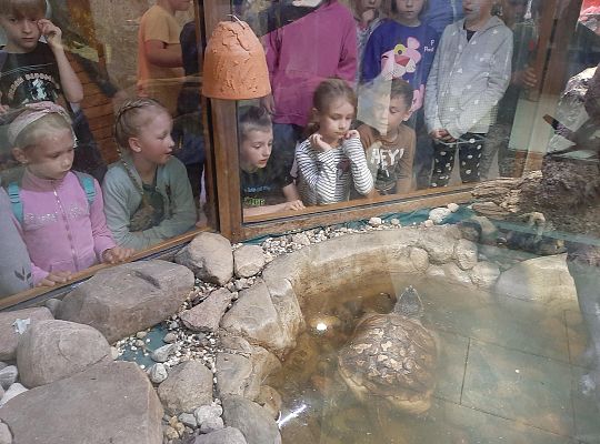 Wycieczka klas pierwszych - Egzotyczne Zoo