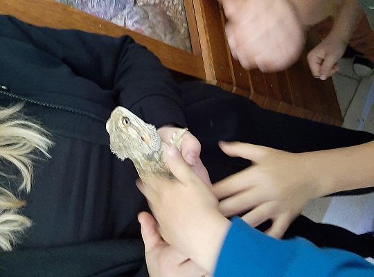 Wycieczka klas pierwszych - Egzotyczne Zoo