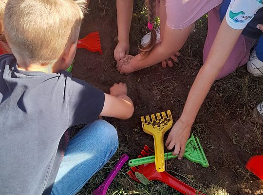 Przygoda z nauką. ZIEMNIAK