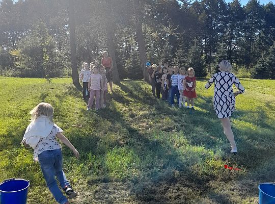 Przygoda z nauką. ZIEMNIAK