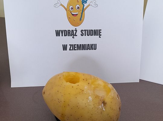 Przygoda z nauką. ZIEMNIAK