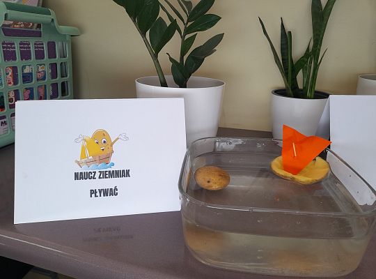 Przygoda z nauką. ZIEMNIAK