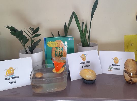 Przygoda z nauką. ZIEMNIAK
