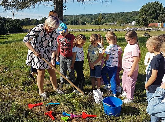 Przygoda z nauką. ZIEMNIAK