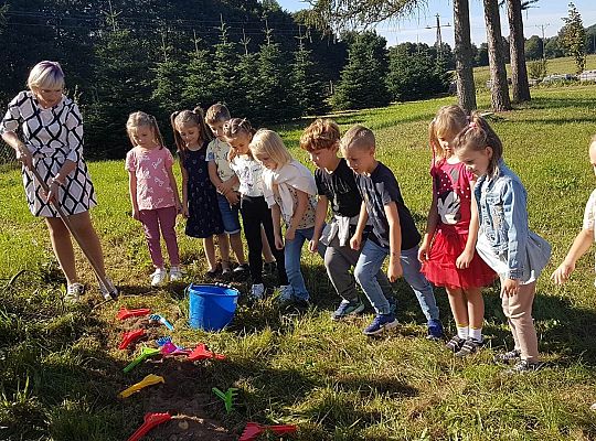 Przygoda z nauką. ZIEMNIAK