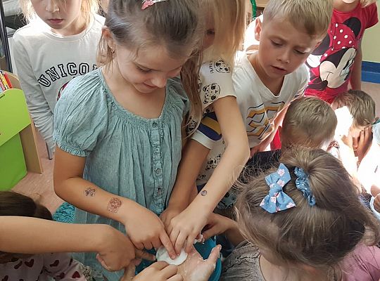 Przygoda z nauką. ZIEMNIAK