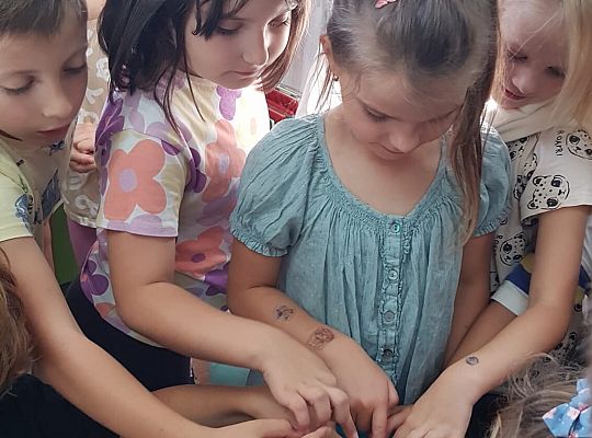 Przygoda z nauką. ZIEMNIAK