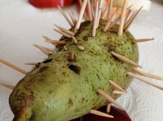 Dzień jabłka w kl. III b