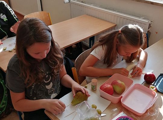 Dzień jabłka w kl. III b