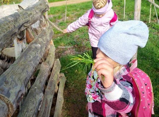 Wycieczka przedszkolaków z Brzeźna Lęb. na Farmę Alexa