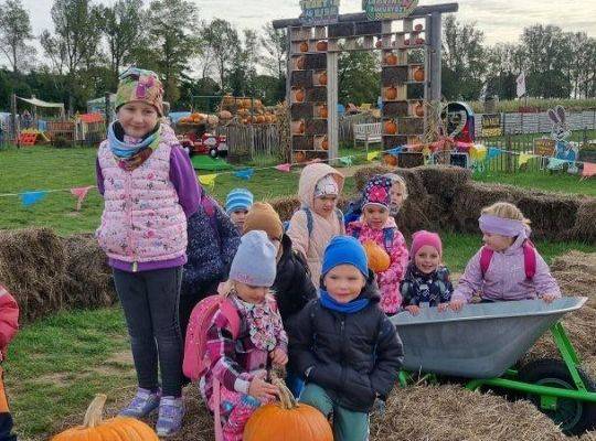 Wycieczka przedszkolaków z Brzeźna Lęb. na Farmę Alexa