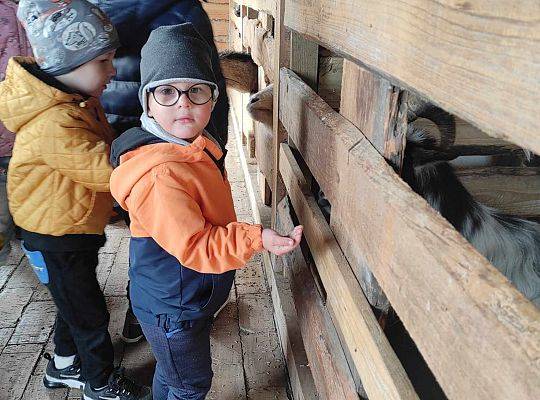 Wycieczka przedszkolaków z Brzeźna Lęb. na Farmę Alexa