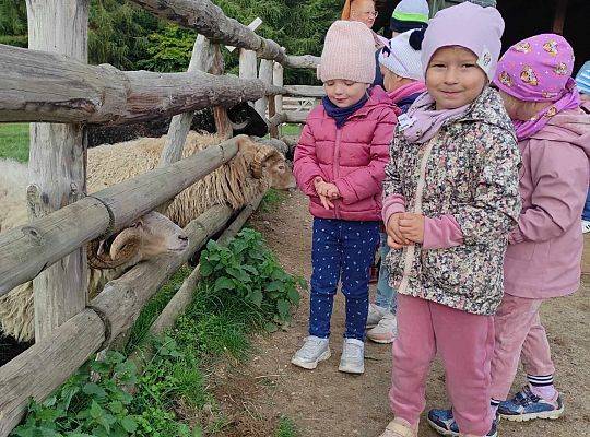 Wycieczka przedszkolaków z Brzeźna Lęb. na Farmę Alexa