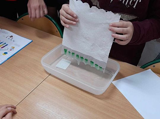 Czytamy - doświadczamy. Spotkanie 2 z pierwszakami