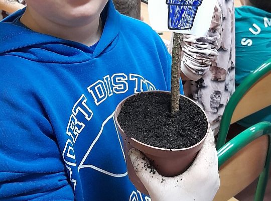 Biblioteka - tu kwitnie wyobraźnia!