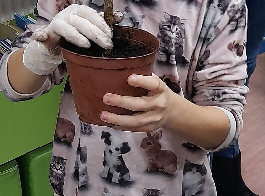 Biblioteka - tu kwitnie wyobraźnia!