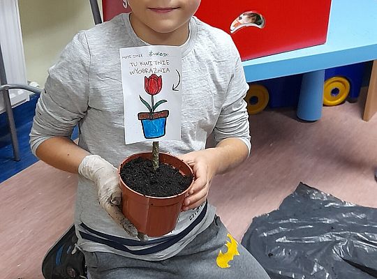 Biblioteka - tu kwitnie wyobraźnia!