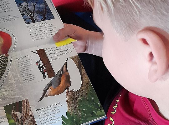 Klasa 3 b poleca do czytania "Dziewczynkę z parku".