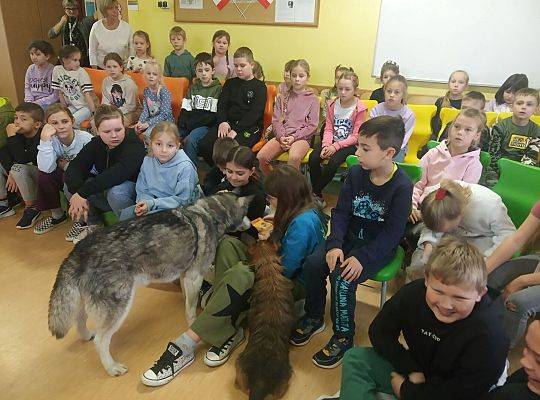 Warsztaty ze zwierzętami - spotkanie z fundacją zwierząt