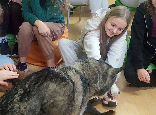 Warsztaty ze zwierzętami - spotkanie z fundacją zwierząt