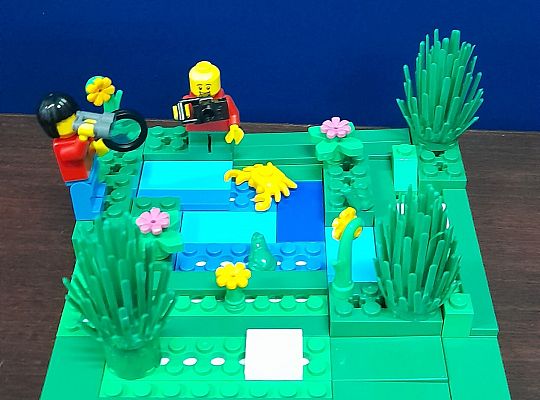 Realizujemy projekt "Lekturki spod chmurki"