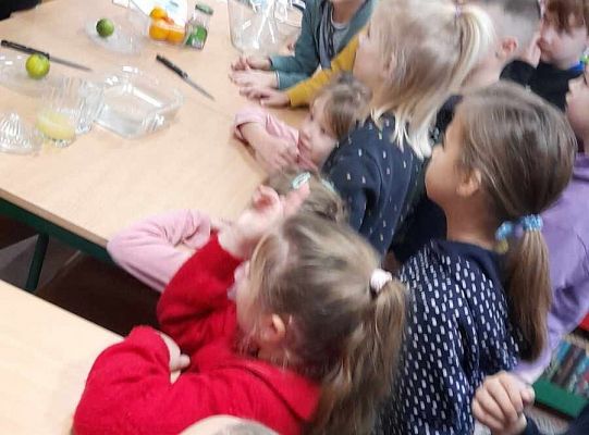 Klasa 1 a poznaje cytrynę.