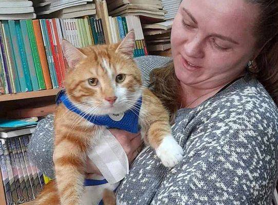 Spotkanie z Okazji Światowego Dnia Kota