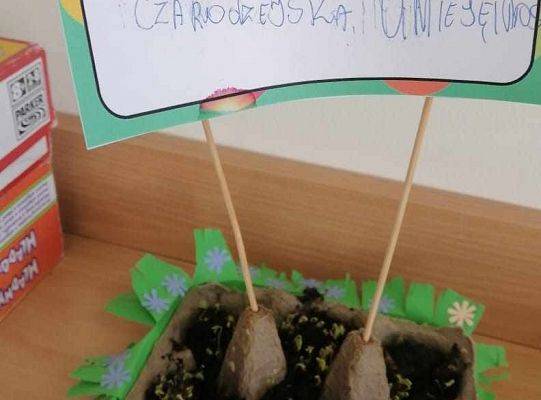 Sialiśmy ziarenka czytelnictwa