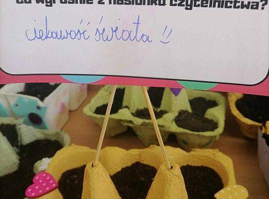 Sialiśmy ziarenka czytelnictwa