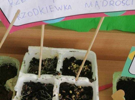 Sialiśmy ziarenka czytelnictwa