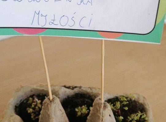 Sialiśmy ziarenka czytelnictwa