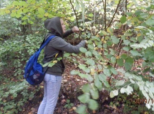 Wycieczka grupy projektowej do Wdzydz Kiszewskich i do Łówcza