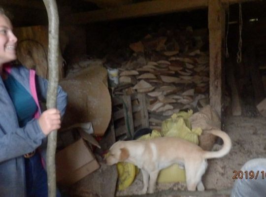 Wycieczka grupy projektowej do Wdzydz Kiszewskich i do Łówcza