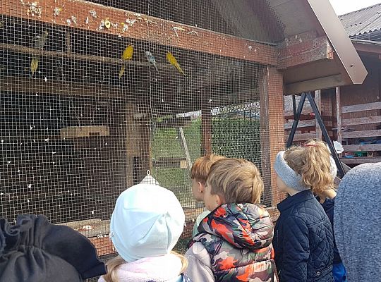 Wycieczka klasy 2b do gołębnika Pana Romana