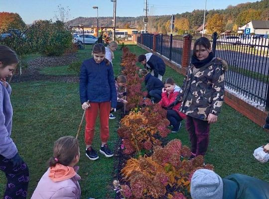 Upiększamy teren wokół szkoły