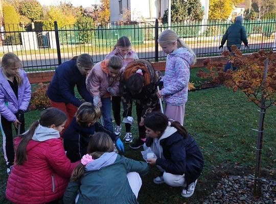 Upiększamy teren wokół szkoły